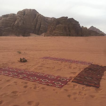 Wild Of Wadi Rum Luaran gambar