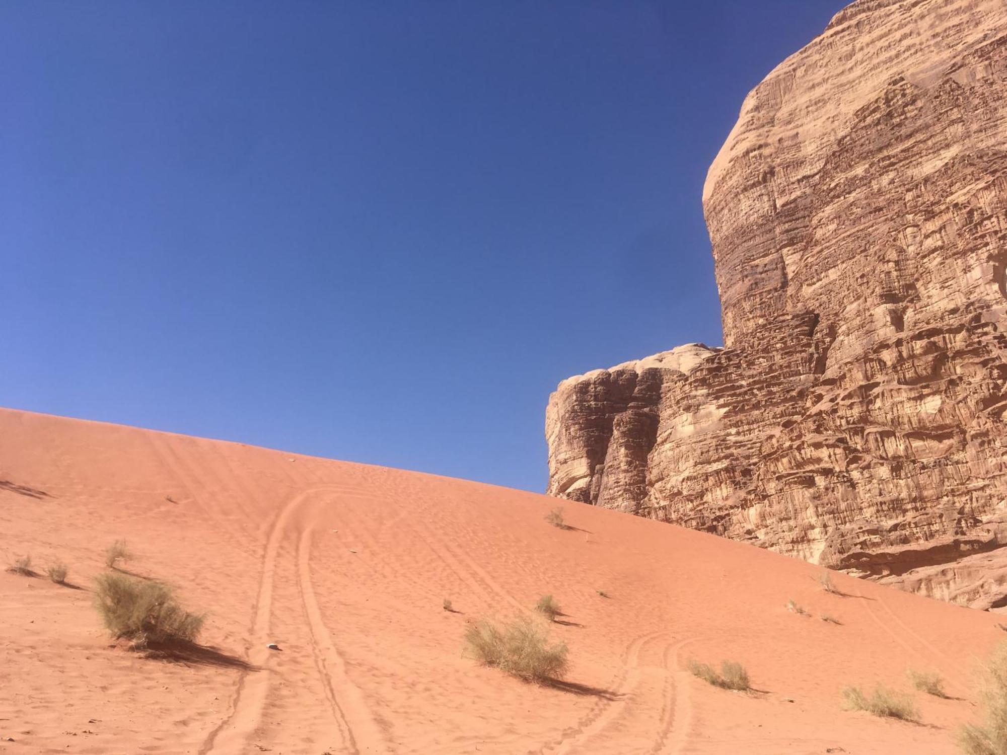 Wild Of Wadi Rum Luaran gambar