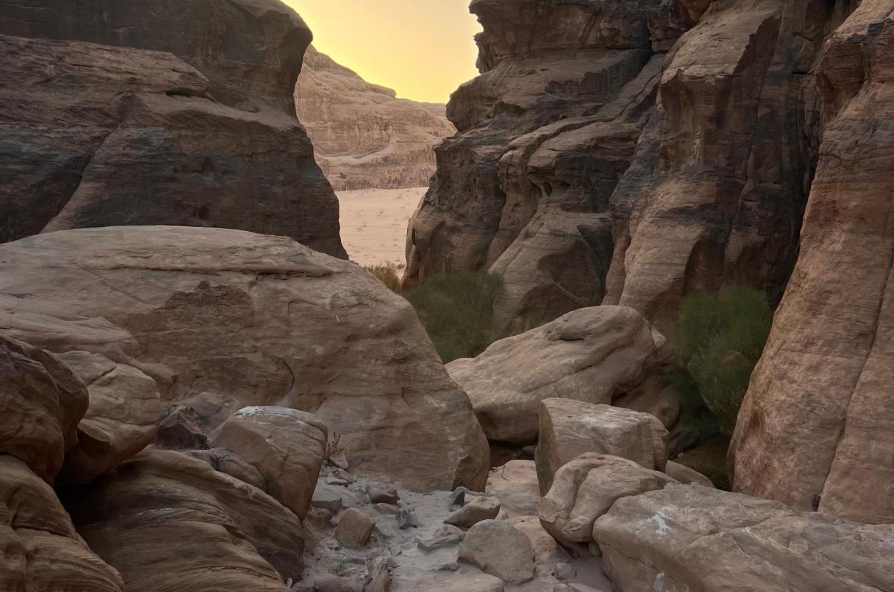 Wild Of Wadi Rum Luaran gambar