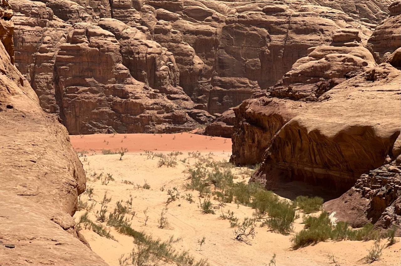 Wild Of Wadi Rum Luaran gambar