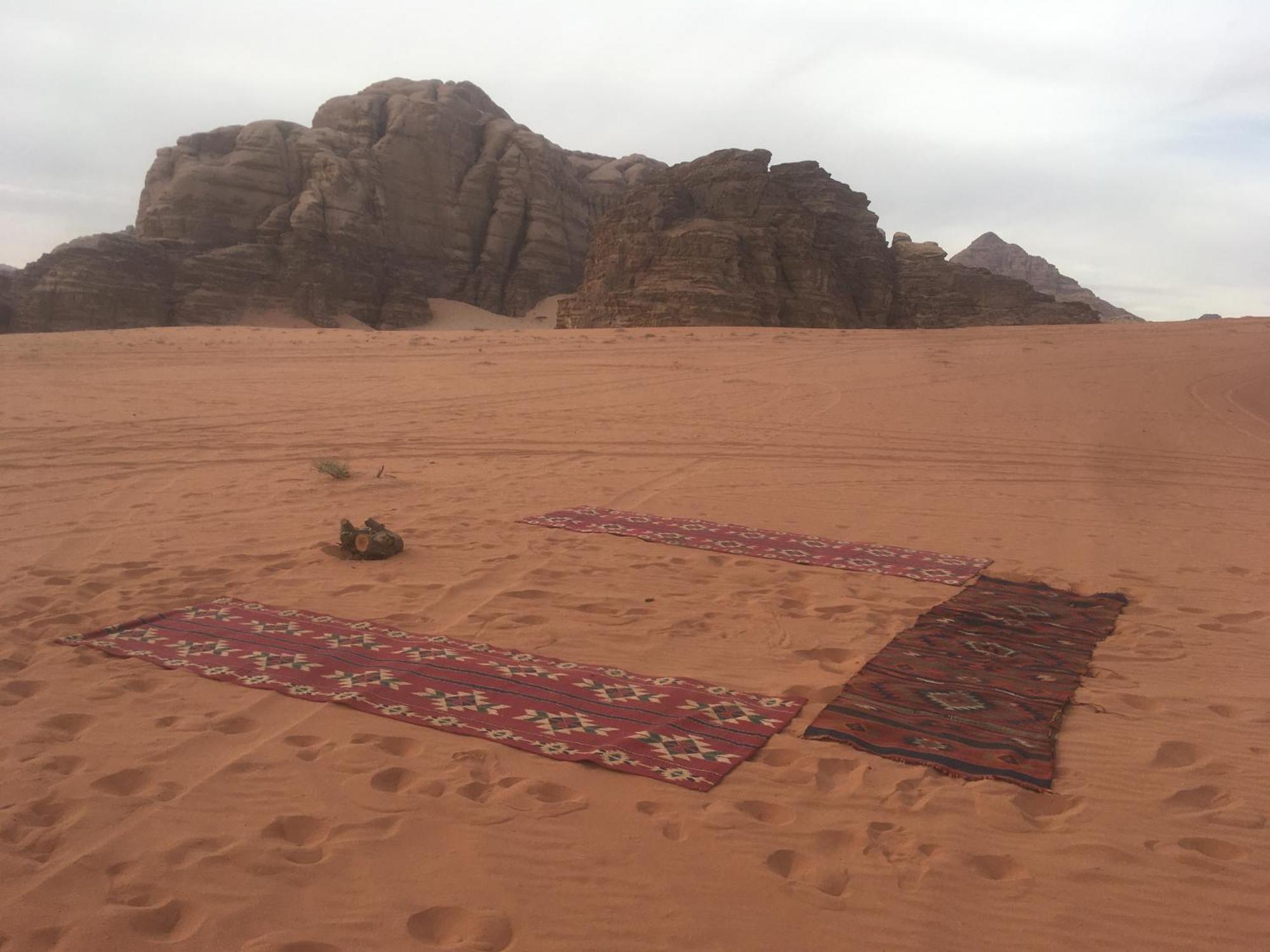 Wild Of Wadi Rum Luaran gambar