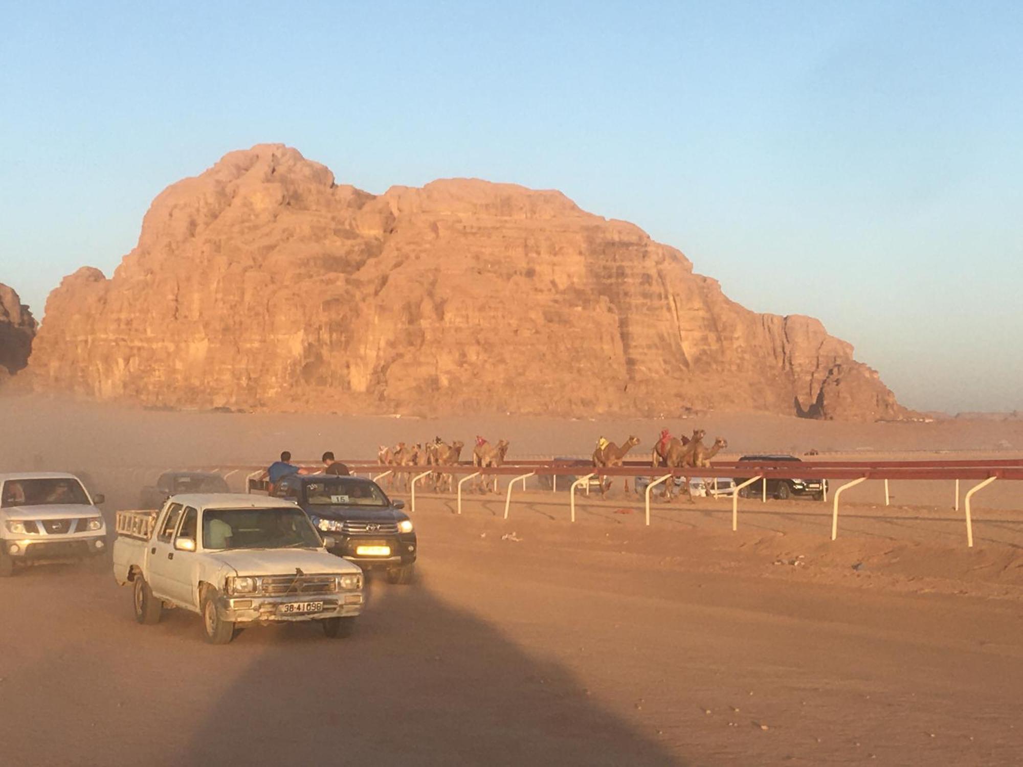 Wild Of Wadi Rum Luaran gambar
