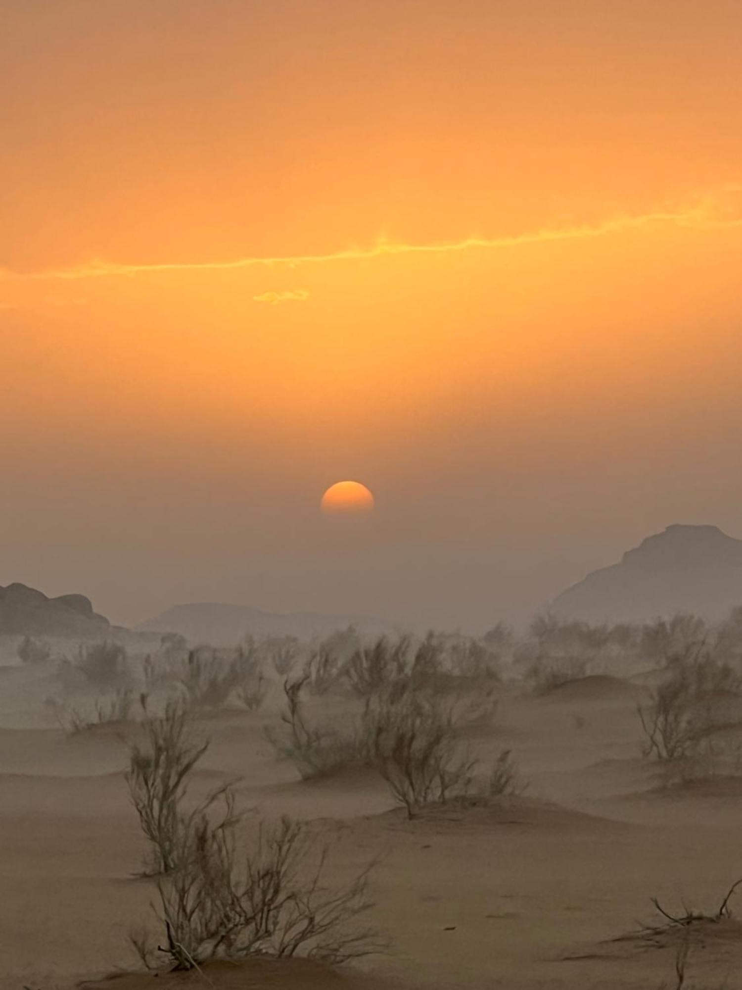 Wild Of Wadi Rum Luaran gambar